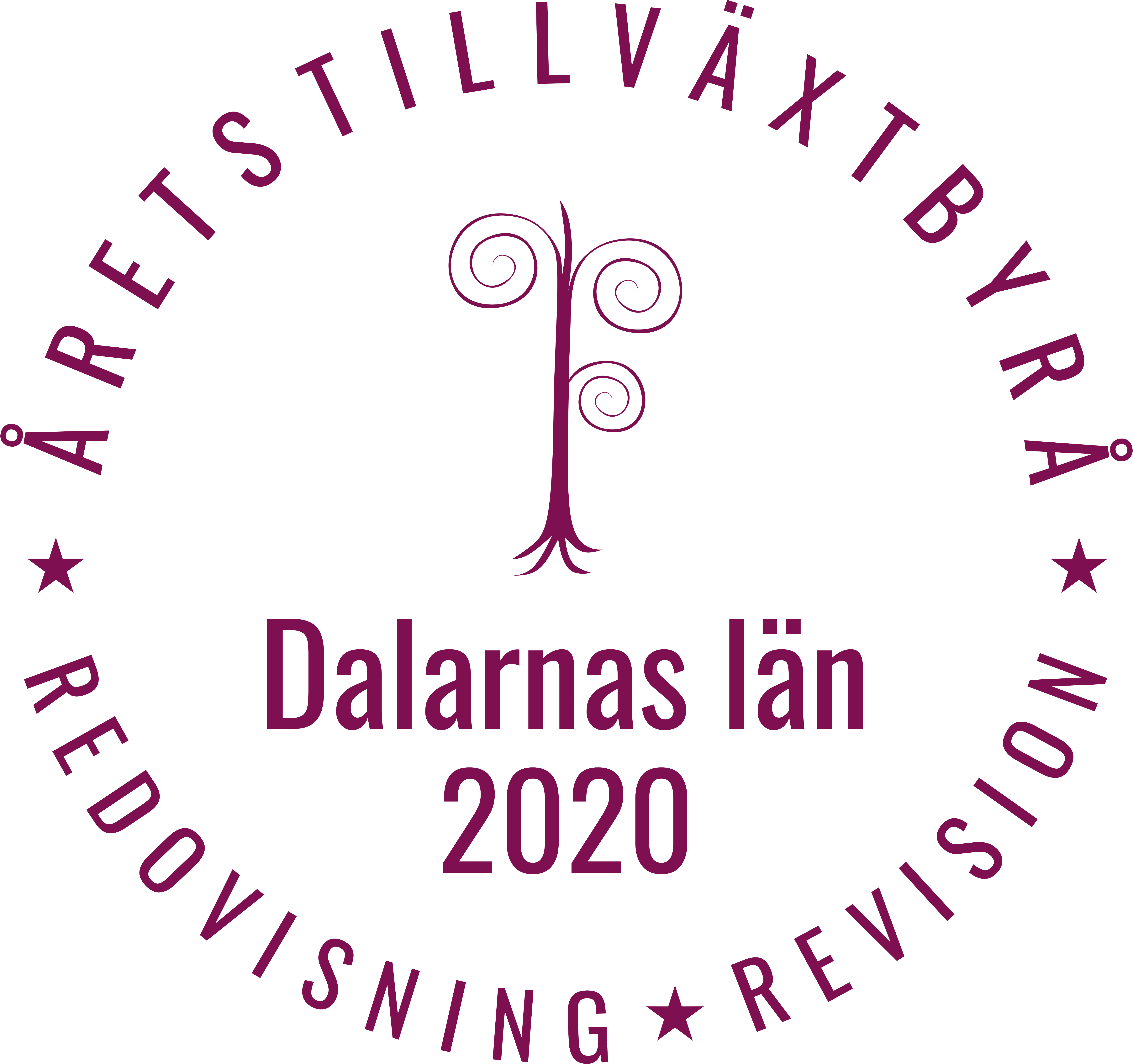 Årets tillväxtbyrå i Dalarnas län 2020 inom redovisning och revision